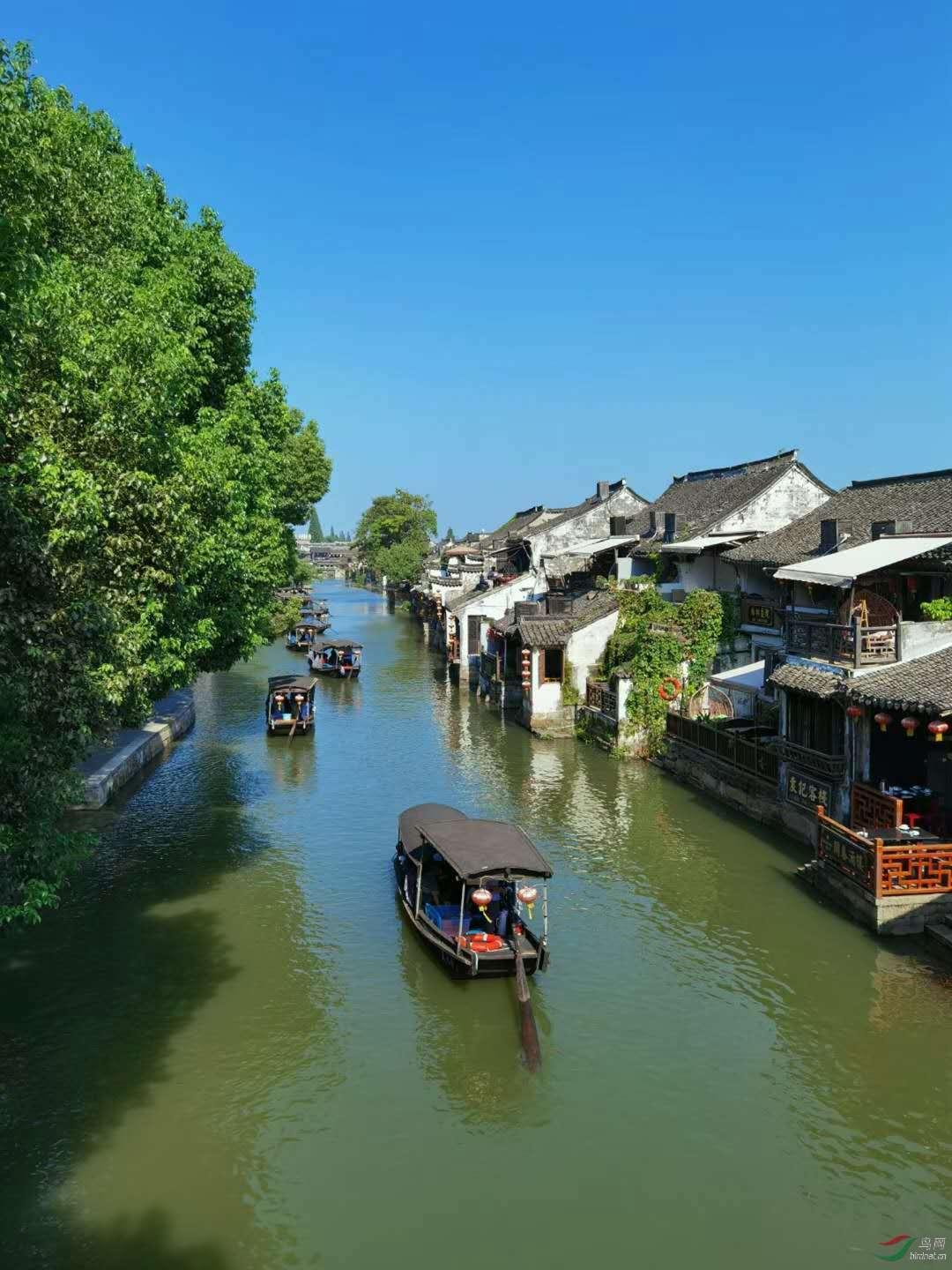 可爱宝宝大作战